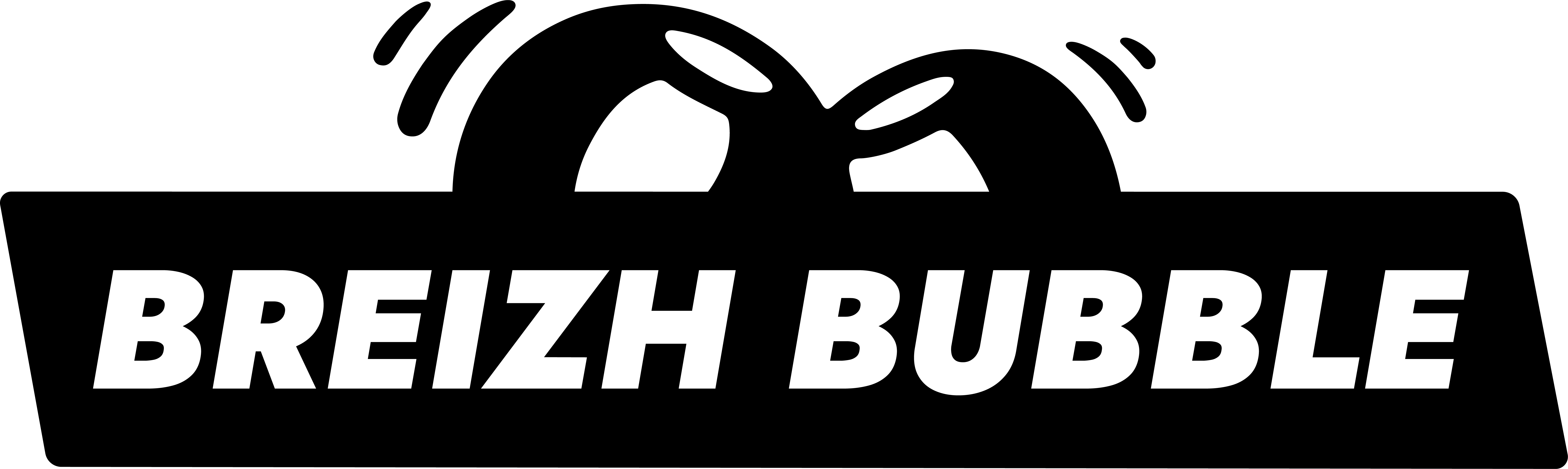 logo_noir